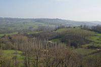 Cjp_2013_03_31_135548.jpg