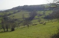 Cjp_2013_03_31_140842.jpg