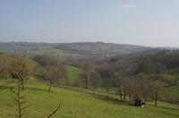 Cjp_2013_03_31_140920.jpg