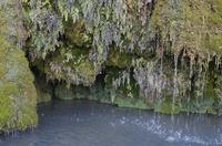 Cjp_2013_03_31_142154.jpg