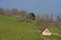 Cjp_2013_03_31_154002.jpg