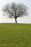 Cjp_2013_03_31_155750.jpg