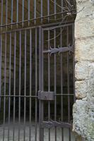 Cjp_2013_04_04_072954.jpg