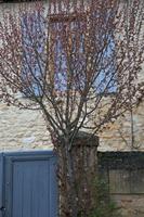 Cjp_2013_04_04_073352.jpg