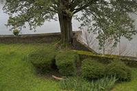 Cjp_2013_04_04_073450.jpg