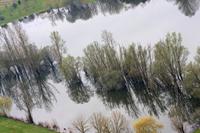 Cjp_2013_04_04_090448.jpg