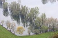Cjp_2013_04_04_090504.jpg