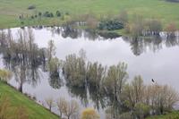Cjp_2013_04_04_090906.jpg