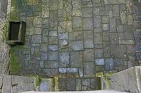Cjp_2013_04_04_094145.jpg
