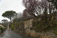 Cjp_2013_04_04_141542.jpg