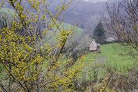Cjp_2013_04_04_142730.jpg