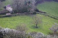 Cjp_2013_04_04_143006.jpg