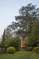 Cjp_2013_04_05_063810.jpg