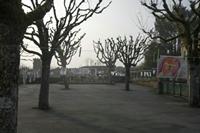 Cjp_2013_04_05_071834.jpg