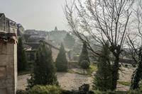 Cjp_2013_04_05_073008.jpg