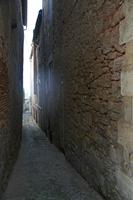 Cjp_2013_04_05_074620.jpg