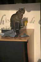 Cjp_2013_04_05_074904.jpg