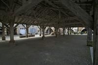 Cjp_2013_04_05_113916.jpg