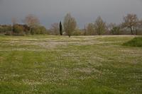 Cjp_2013_04_05_151806.jpg