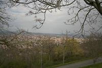 Cjp_2013_04_05_152428.jpg