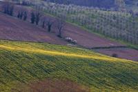 Cjp_2013_04_05_155016.jpg
