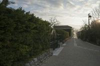 Cjp_2013_04_06_061500.jpg