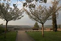 Cjp_2013_04_06_061656.jpg