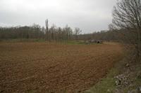 Cjp_2013_04_06_134232.jpg