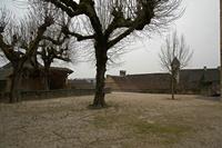 Cjp_2013_04_07_070750.jpg