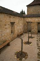 Cjp_2013_04_07_071204.jpg
