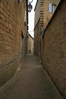 Cjp_2013_04_07_071450.jpg