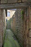 Cjp_2013_04_07_071516.jpg