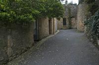 Cjp_2013_04_07_072312.jpg