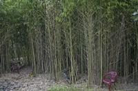 Cjp_2013_04_07_073528.jpg