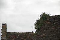 Cjp_2013_04_07_073748.jpg