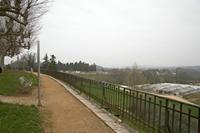 Cjp_2013_04_07_075556.jpg
