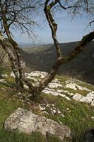 Cjp_2013_04_07_115244.jpg