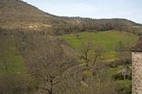 Cjp_2013_04_07_124228.jpg
