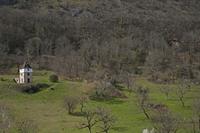 Cjp_2013_04_07_125946.jpg