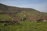 Cjp_2013_04_07_131816.jpg