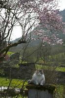 Cjp_2013_04_07_134024.jpg