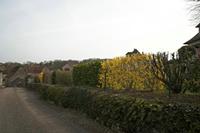 Cjp_2013_04_07_142148.jpg