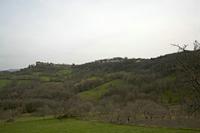 Cjp_2013_04_07_152636.jpg