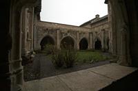 Cjp_2013_04_08_082220.jpg