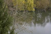 Cjp_2013_04_08_093714.jpg