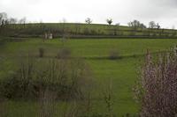 Cjp_2013_04_08_115058.jpg
