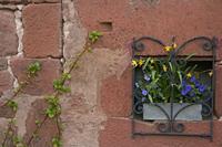Cjp_2013_04_08_141350.jpg