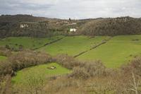 Cjp_2013_04_09_090902.jpg
