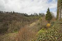 Cjp_2013_04_09_122358.jpg