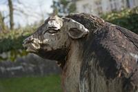 Cjp_2013_04_09_160628.jpg